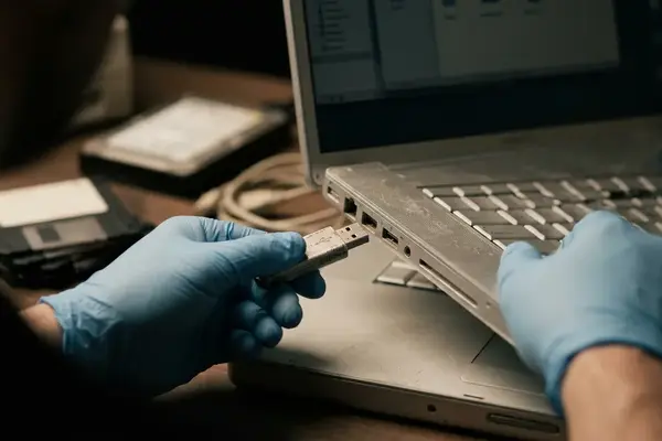 The Modern Archivist's Guide to Safely Running Legacy Web Plugins